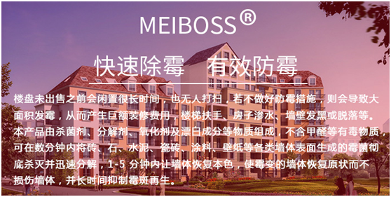 楼盘除霉剂